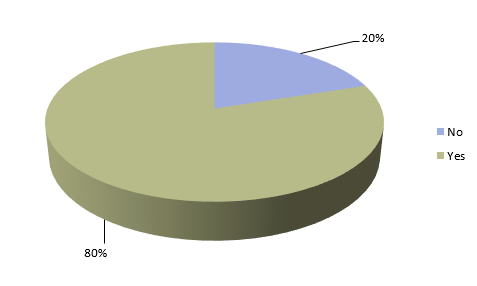 pie chart showing results: 80% yes, 20% no