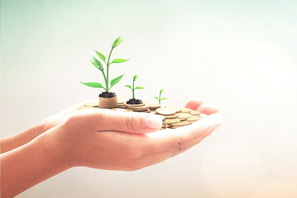 hand holding coins and plants