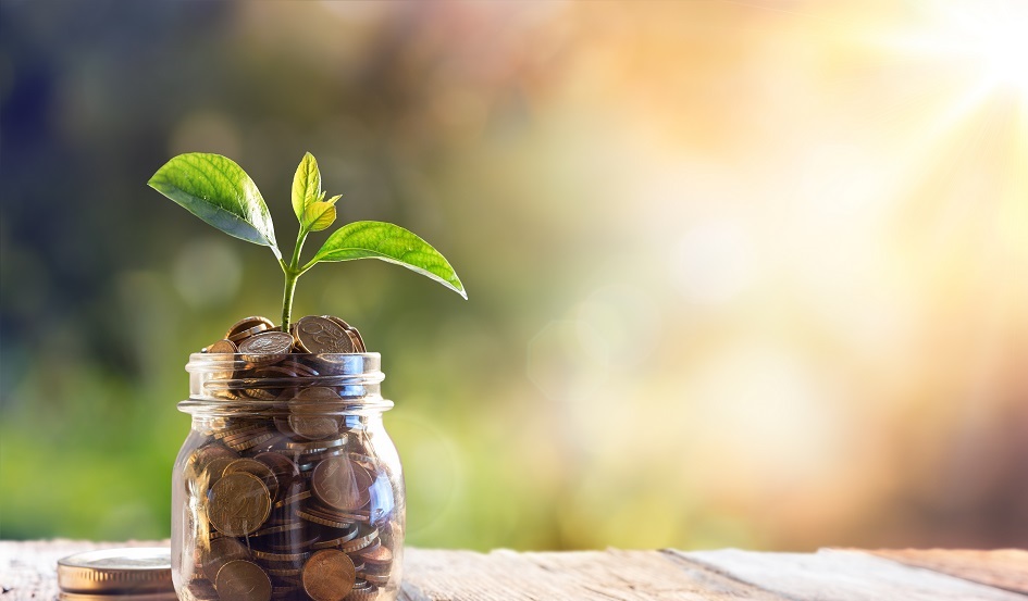 Image shows a jar filled with coins, with a small green plant growing out of the top.