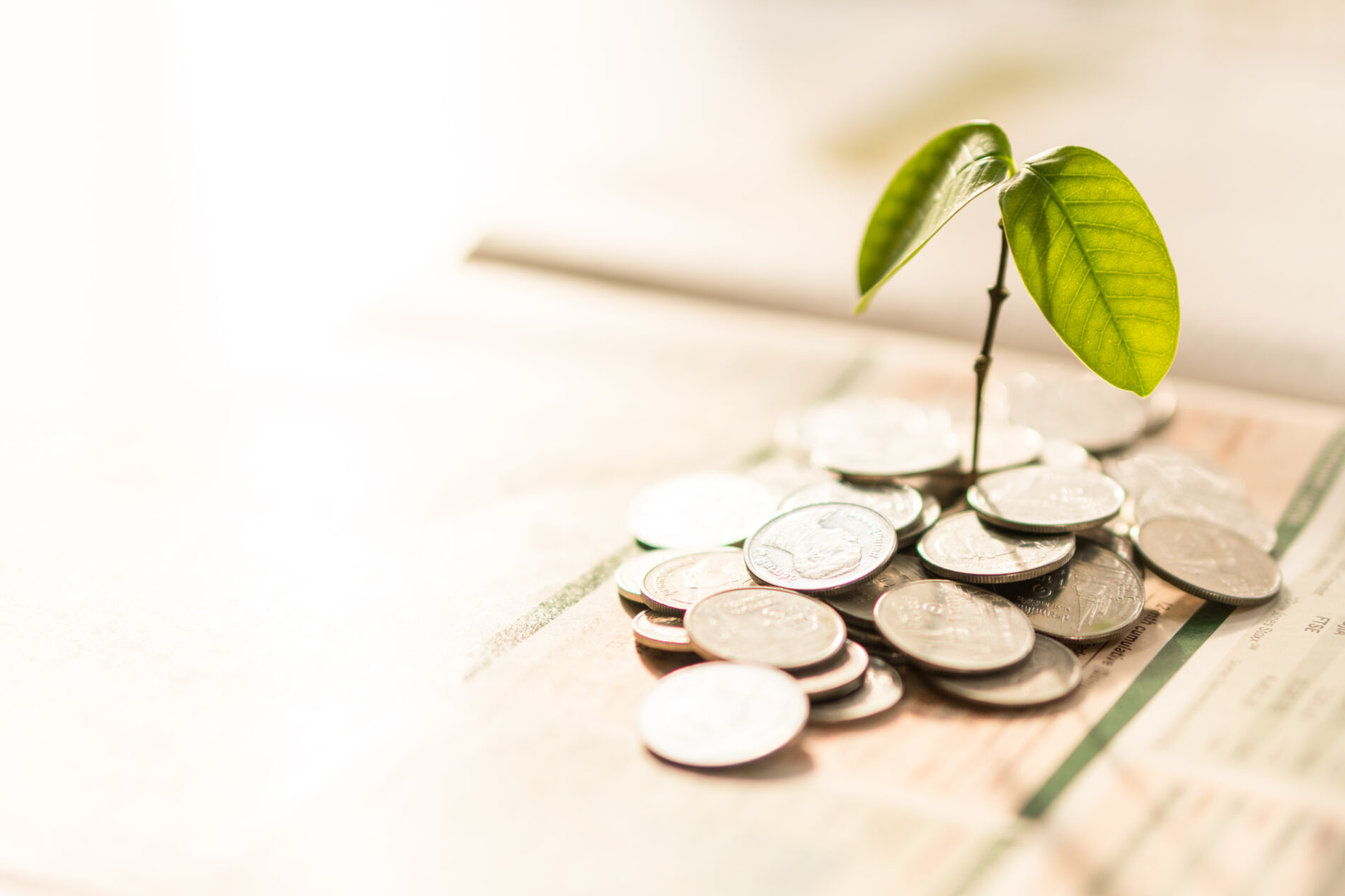 Pile of coins with small green plant sprouting up