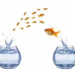 shutterstock_39096799